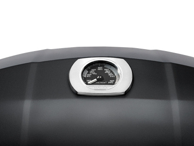 Газовый гриль NAPOLEON TravelQ PRO-285 (портативный)