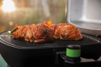 Электрический гриль NAPOLEON TravelQ PRO 285E