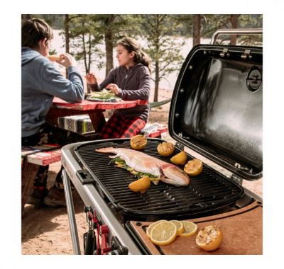 Газовый гриль WEBER Traveler, Черный