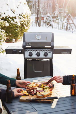 Газовый гриль NAPOLEON Freestyle 365 SB (с конфоркой), дверка