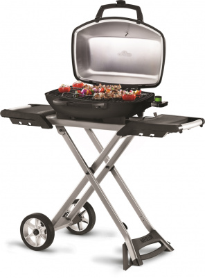 Электрический гриль NAPOLEON TravelQ PRO 285EX