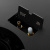  Electrolux Royal Thermo RTFP/P500MR 3D Cassette Mystery Round паровой