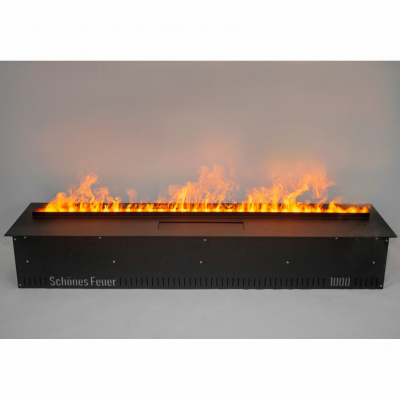  Schönes Feuer Очаг 3D FireLine 3000 (BASE)