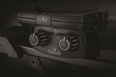 Газовый гриль NAPOLEON Мобильный TravelQ PRO-285X